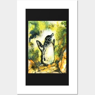 Galápagos Penguin Posters and Art